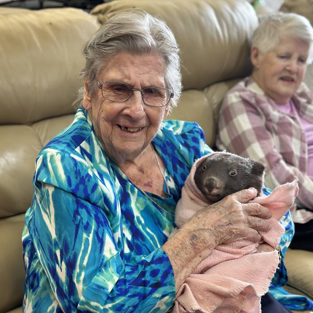 Aged care knitting group donate 12-months of knitted blankets to wildlife shelter